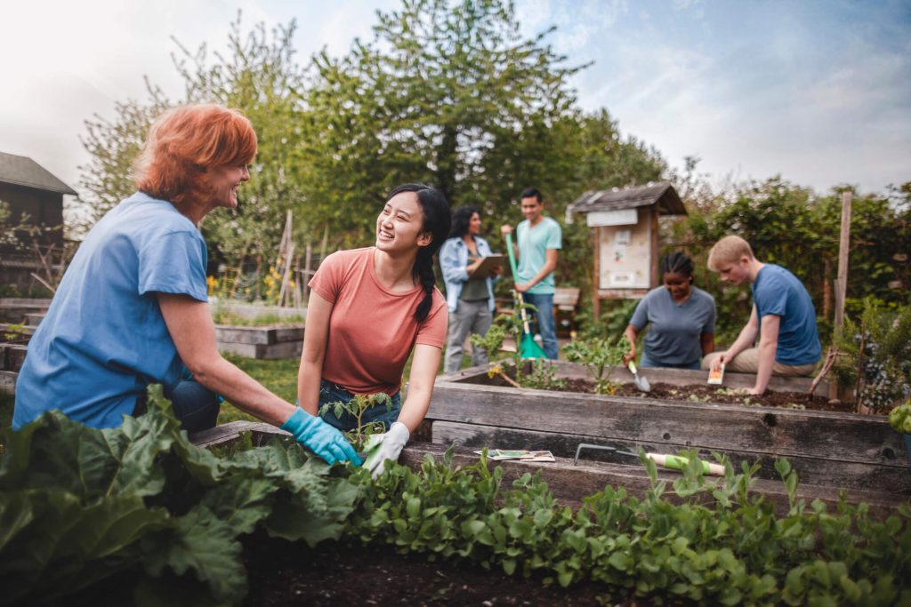 gardening-therapy